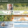 What Is the Best Way to Reduce Pollen Indoors During Allergy Season?